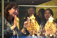 2024년도 초청장학생 역사문화발전상 체험