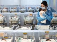 No. of births in 2025 breaks 15-year high at 254,500: data